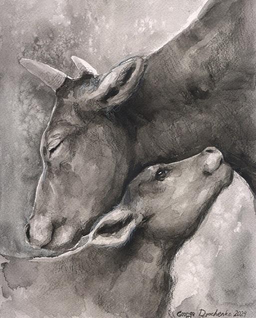 Print "Cow and her calf" | Watercolor