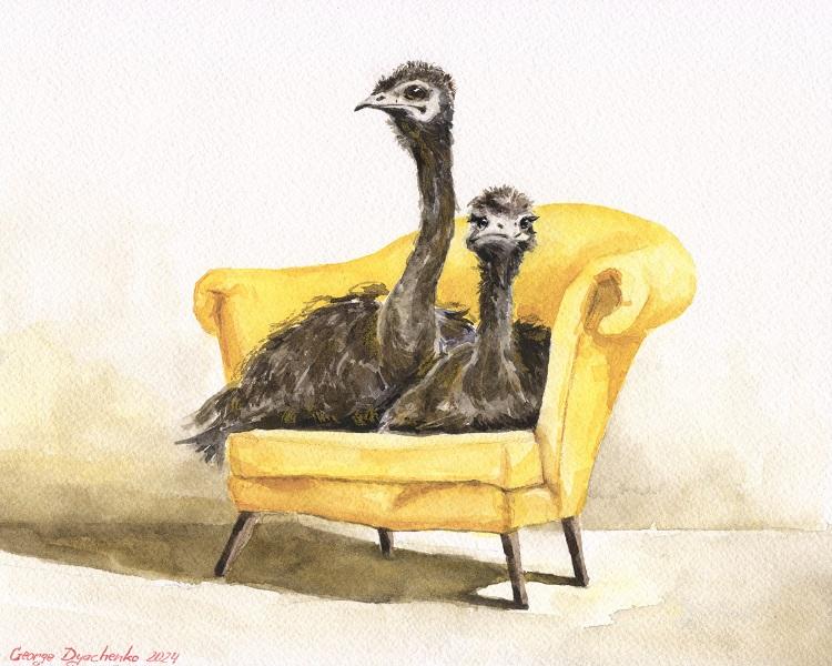 Print "Two funny ostriches on chair" | Watercolor