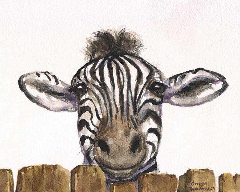 Print "Funny Zebra" | Watercolor