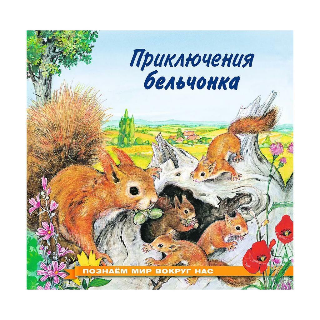 Приключения бельчонка