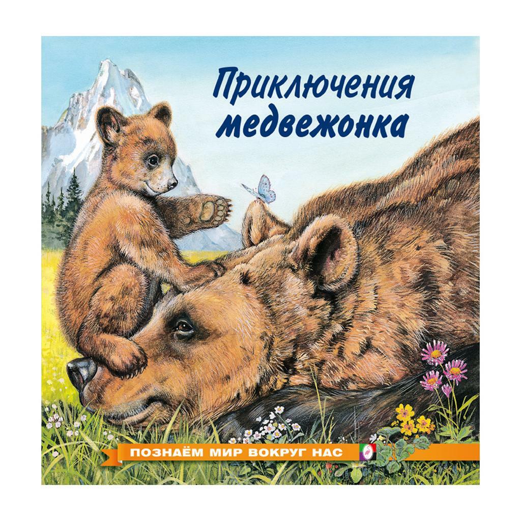 Приключения медвежонка