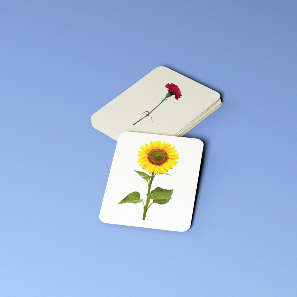 Цветы. Набор развивающих карточек для детей Монтессори