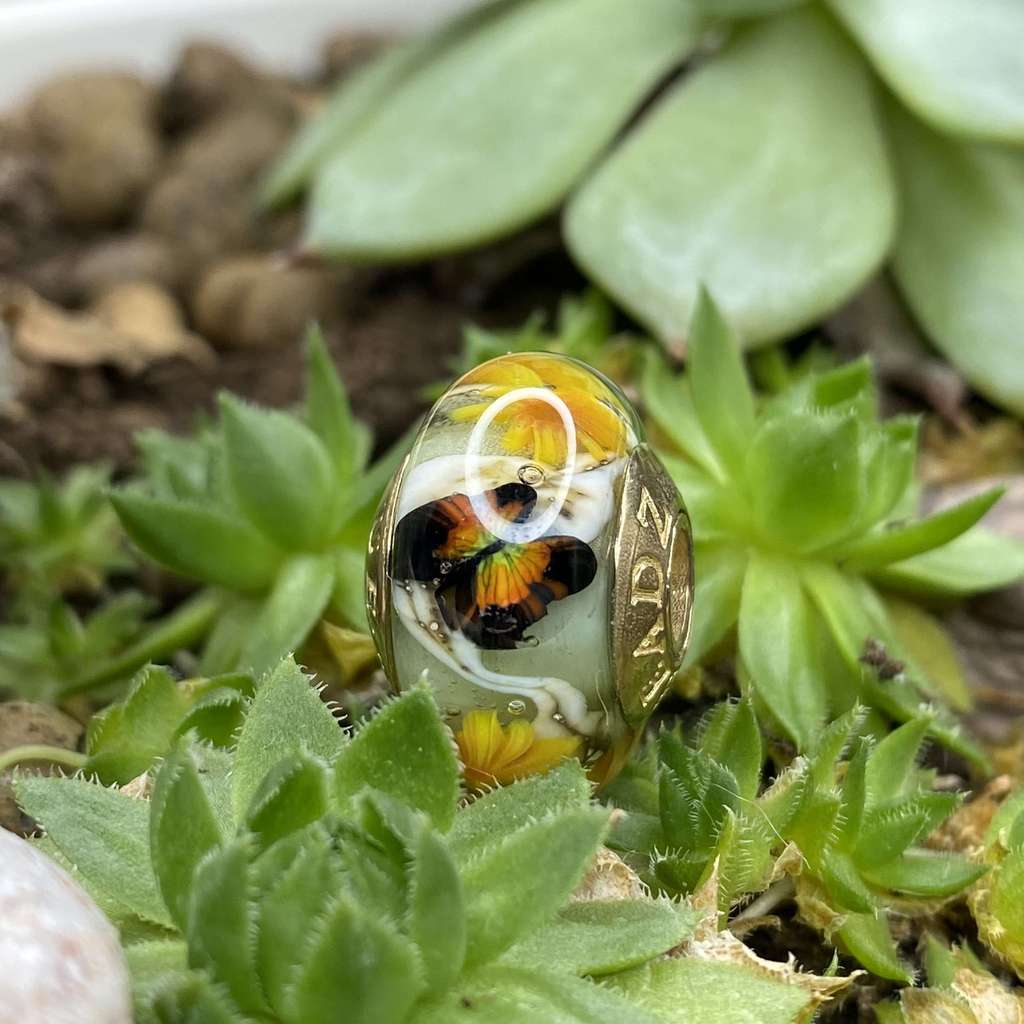 Sunday AQUARIUM  1 GOLD