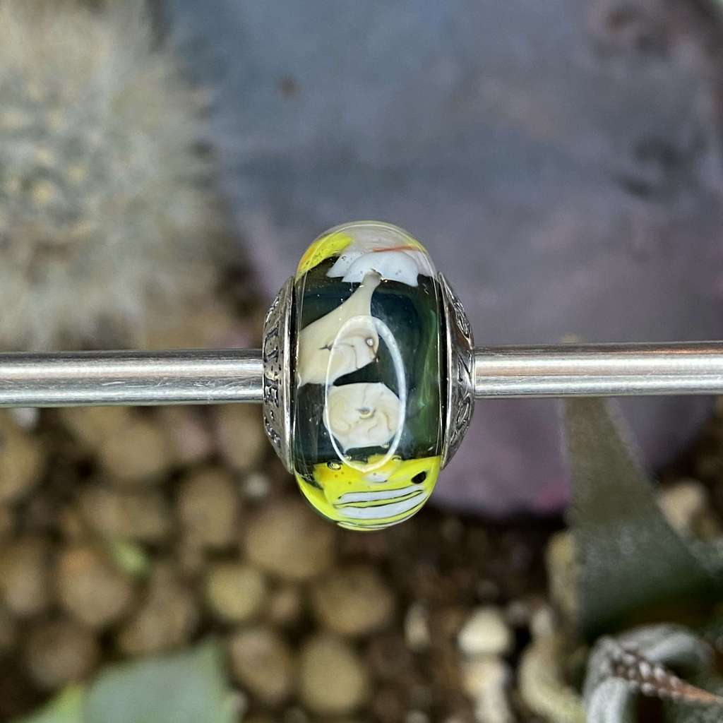 AQUARIUM 40