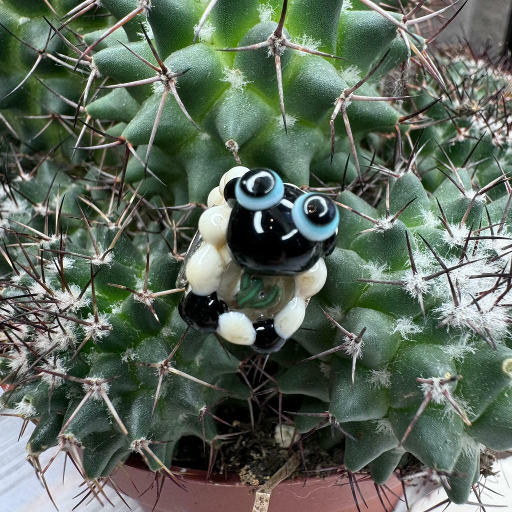 MTO Cactus Sheep