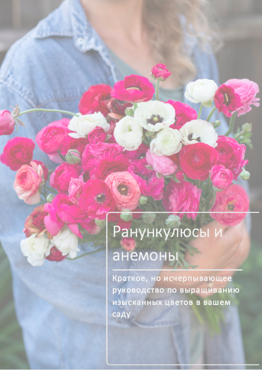 Пособие по выращиванию ранункулюсов и анемонов