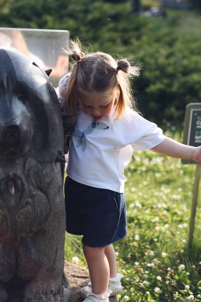 Шорты синие