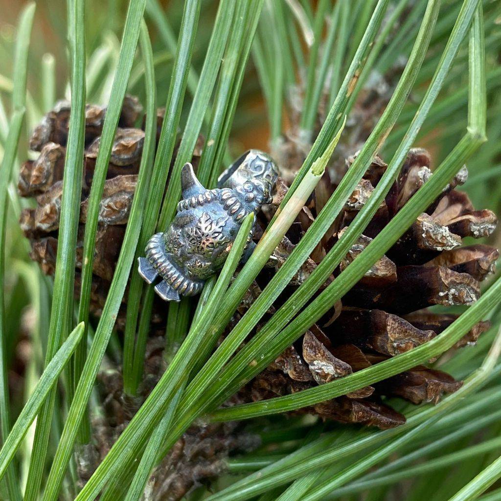 Летающий пингвин