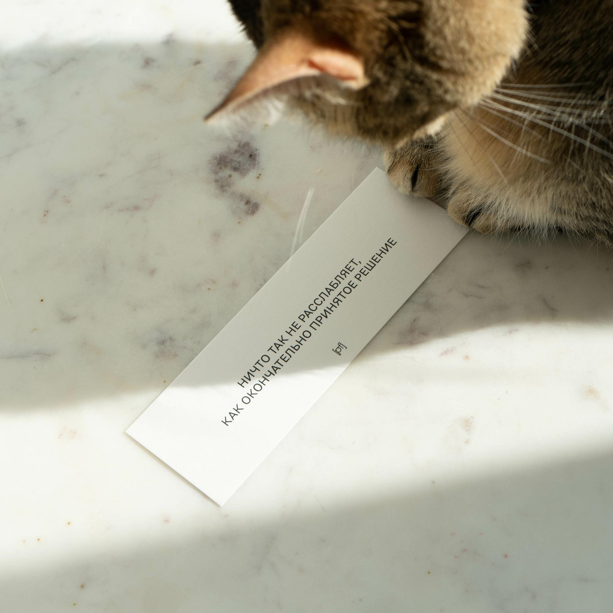 Открытка  "Ничто так не расслабляет"