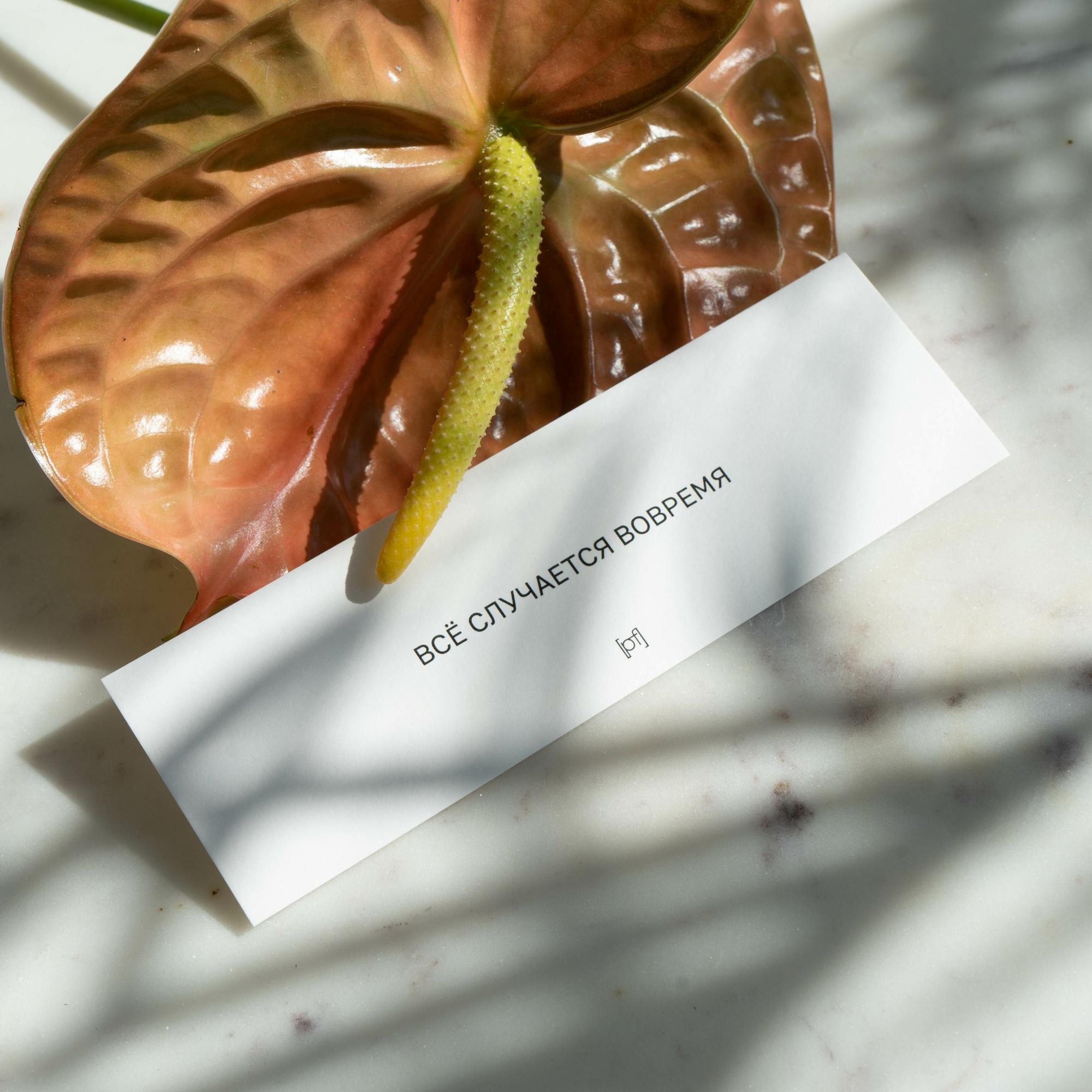 Открытка  "Всё случается вовремя"