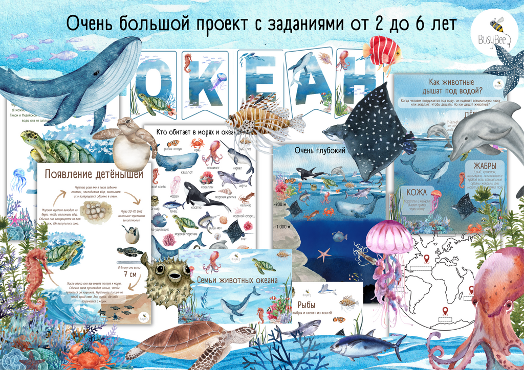 БОЛЬШОЙ ПРОЕКТ  "ОКЕАН"