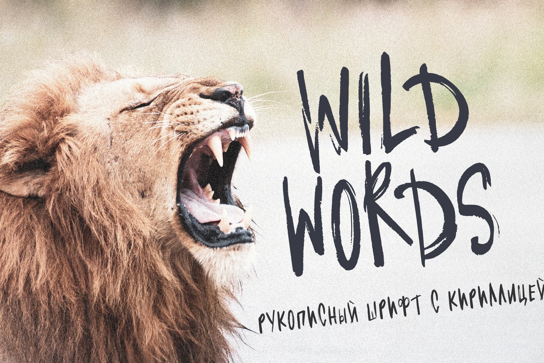 WILD WORDS рукописный шрифт маркер кириллица русский шрифты