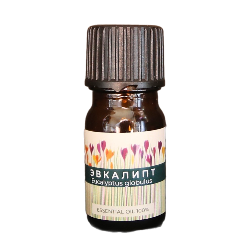 Эвкалипт шаровидный эфирное масло
