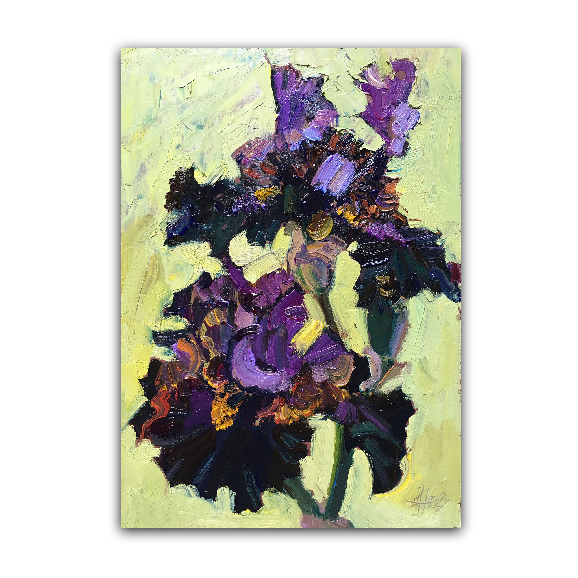 Картина "Ирисы Бруто"