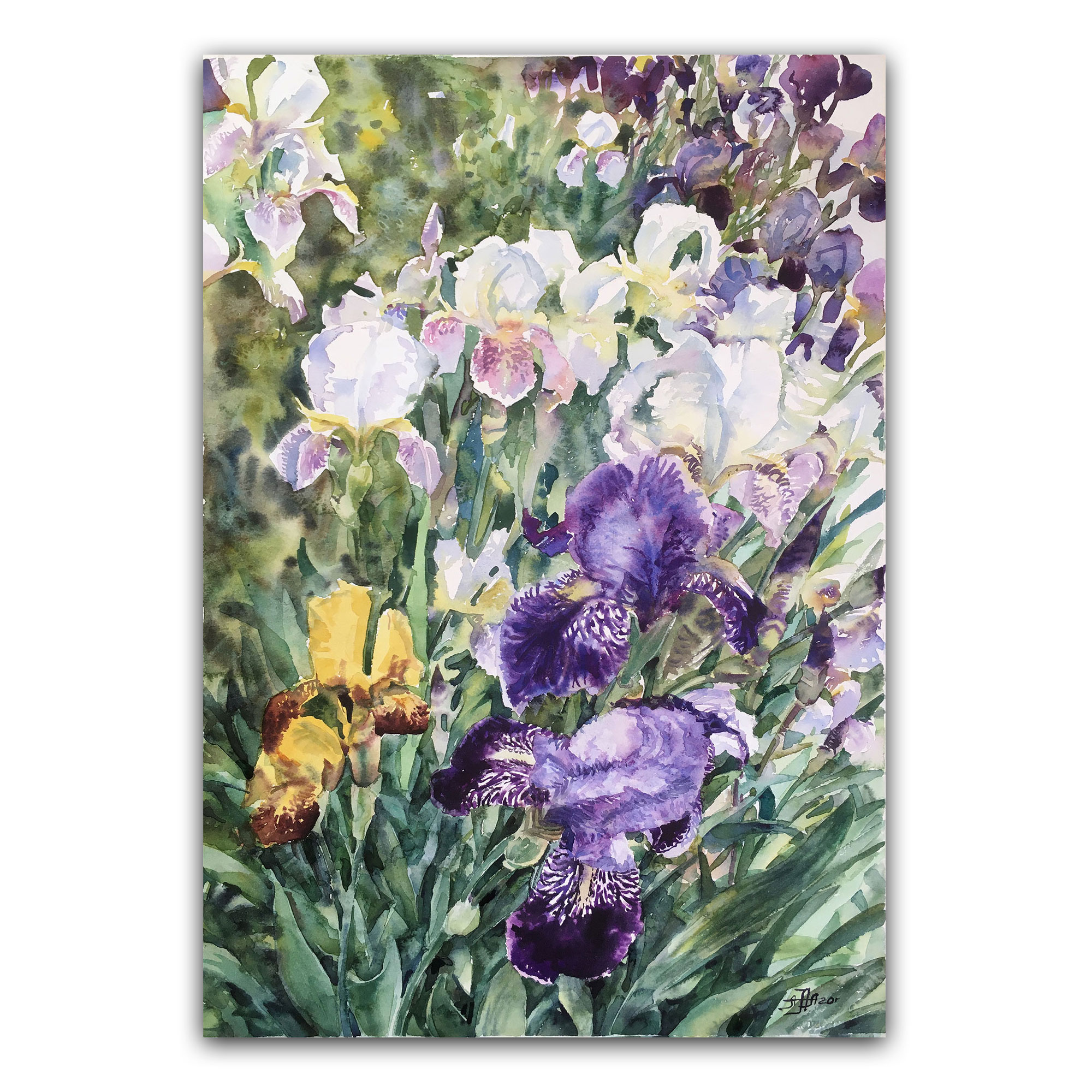 Картина "Ирисы в саду"