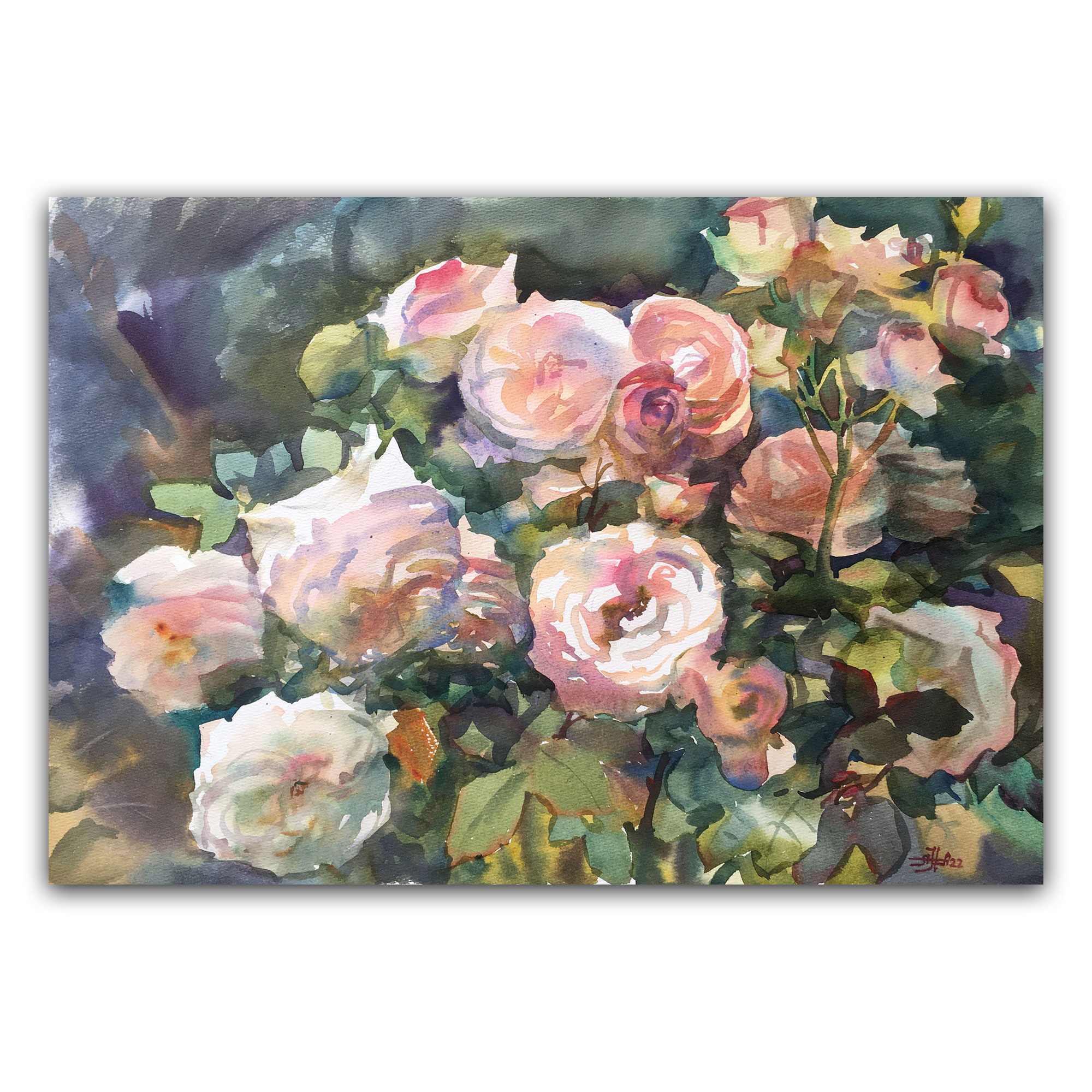 Картина "Розы Пьер в саду"