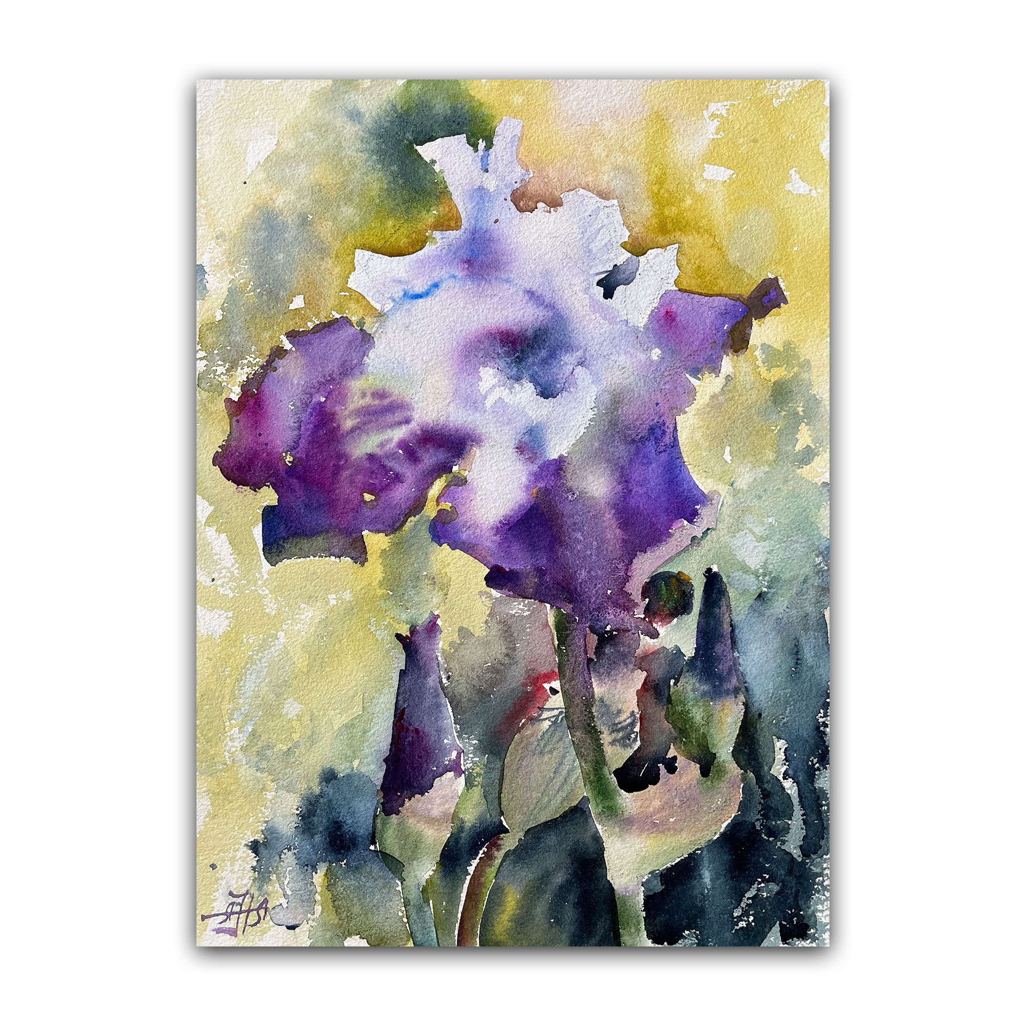 Картина "Голубой ирис и солнце"