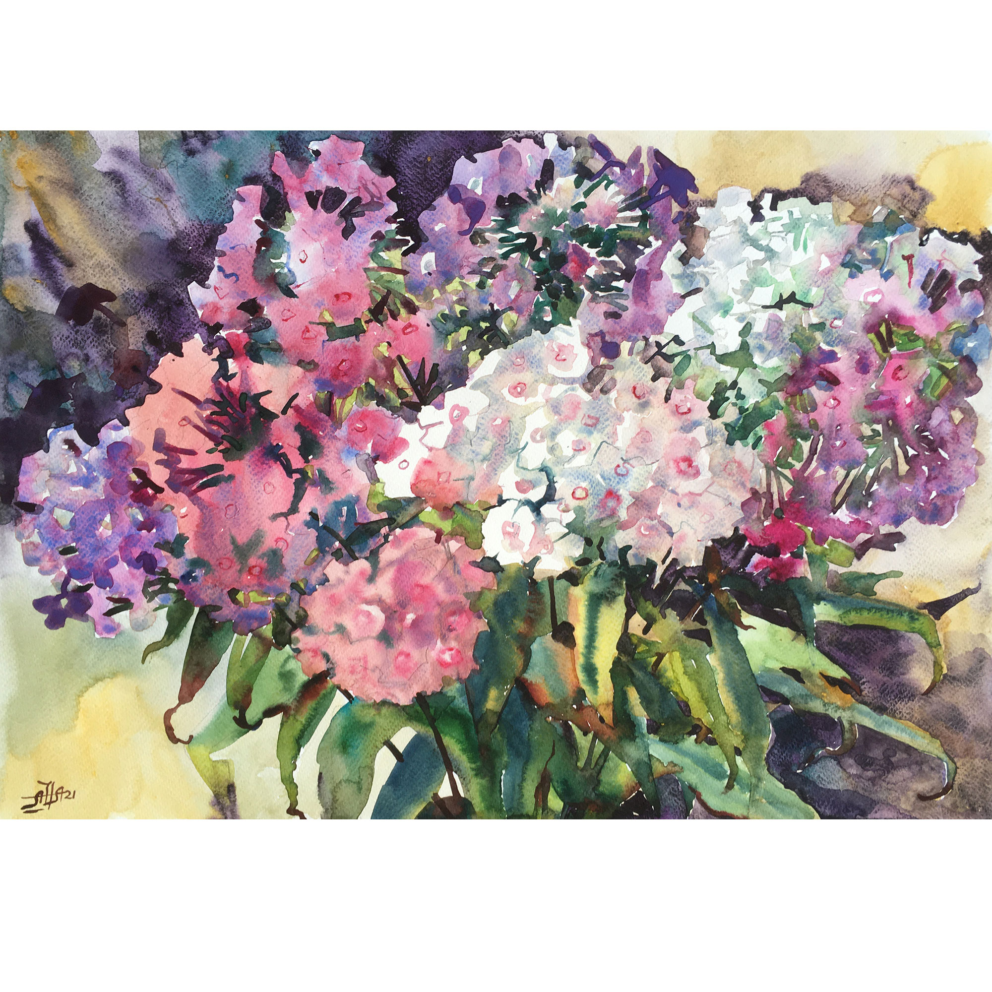 Картина "Флоксы"