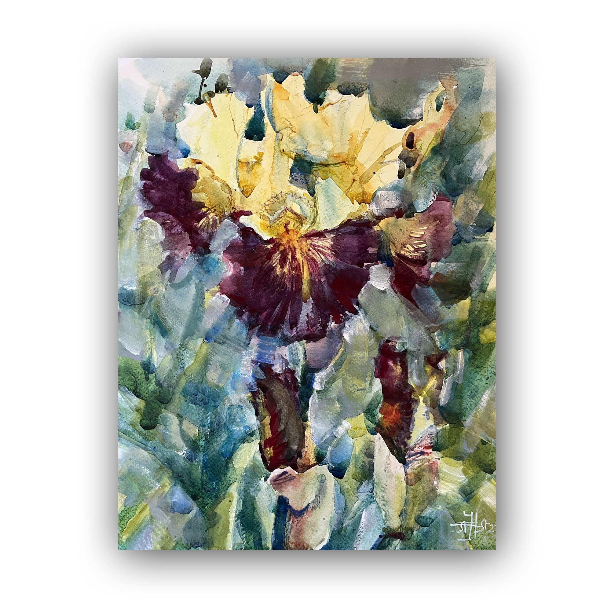 Картина "Жёлтый ирис"