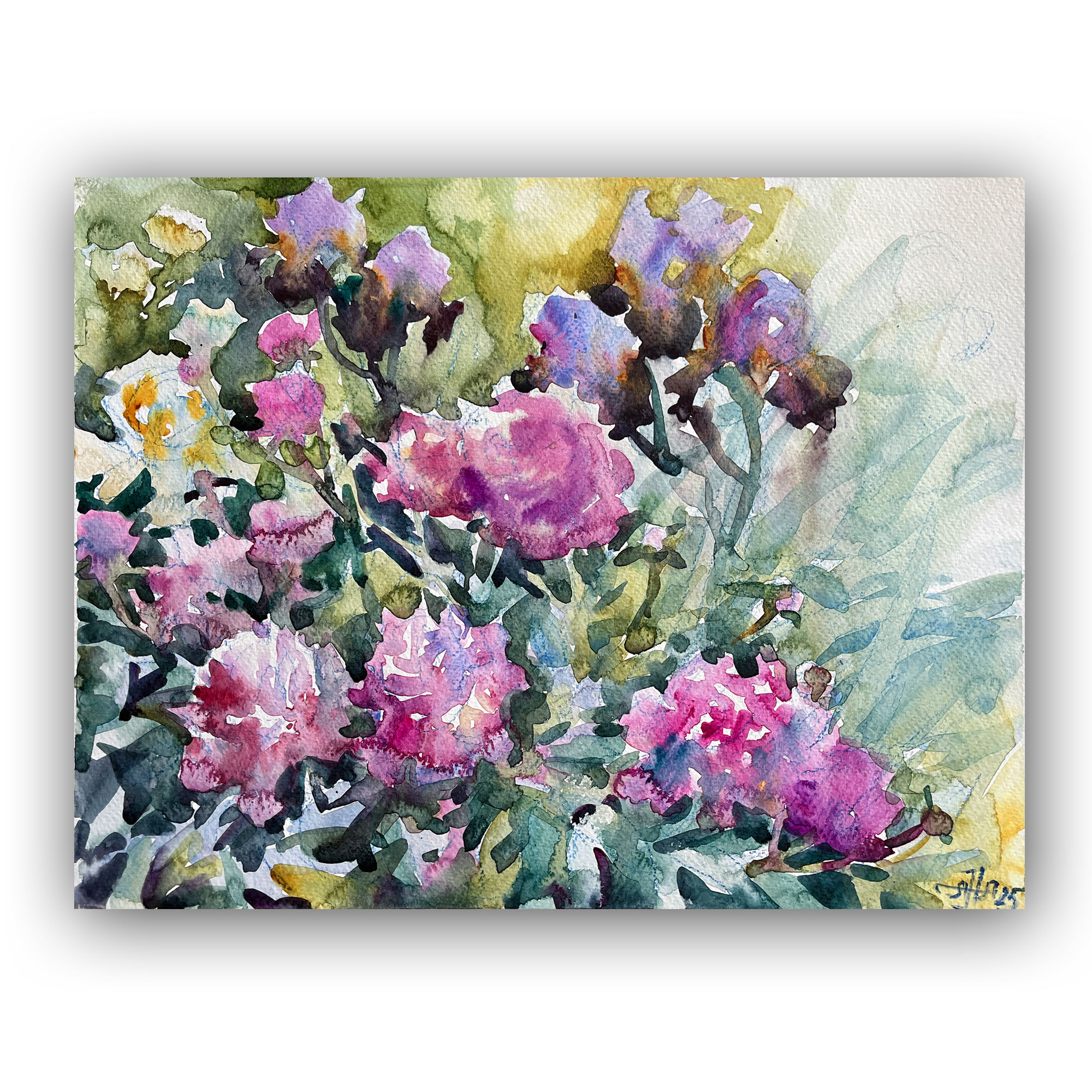 Картина "Пионы с ирисами в саду"