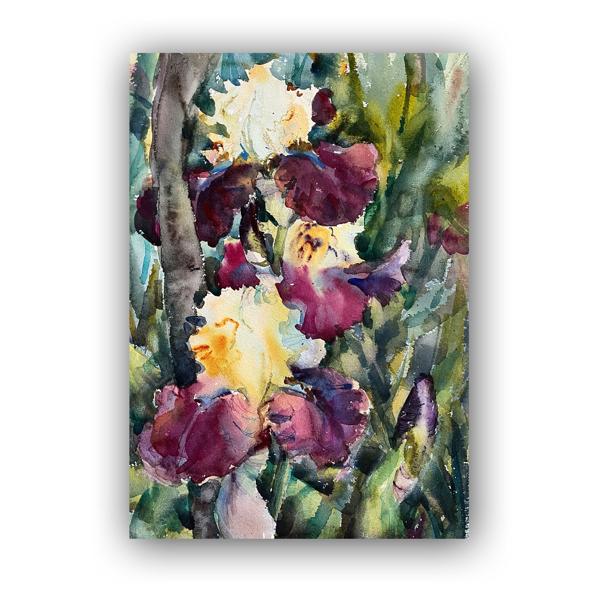 Картина "Райские ирисы"