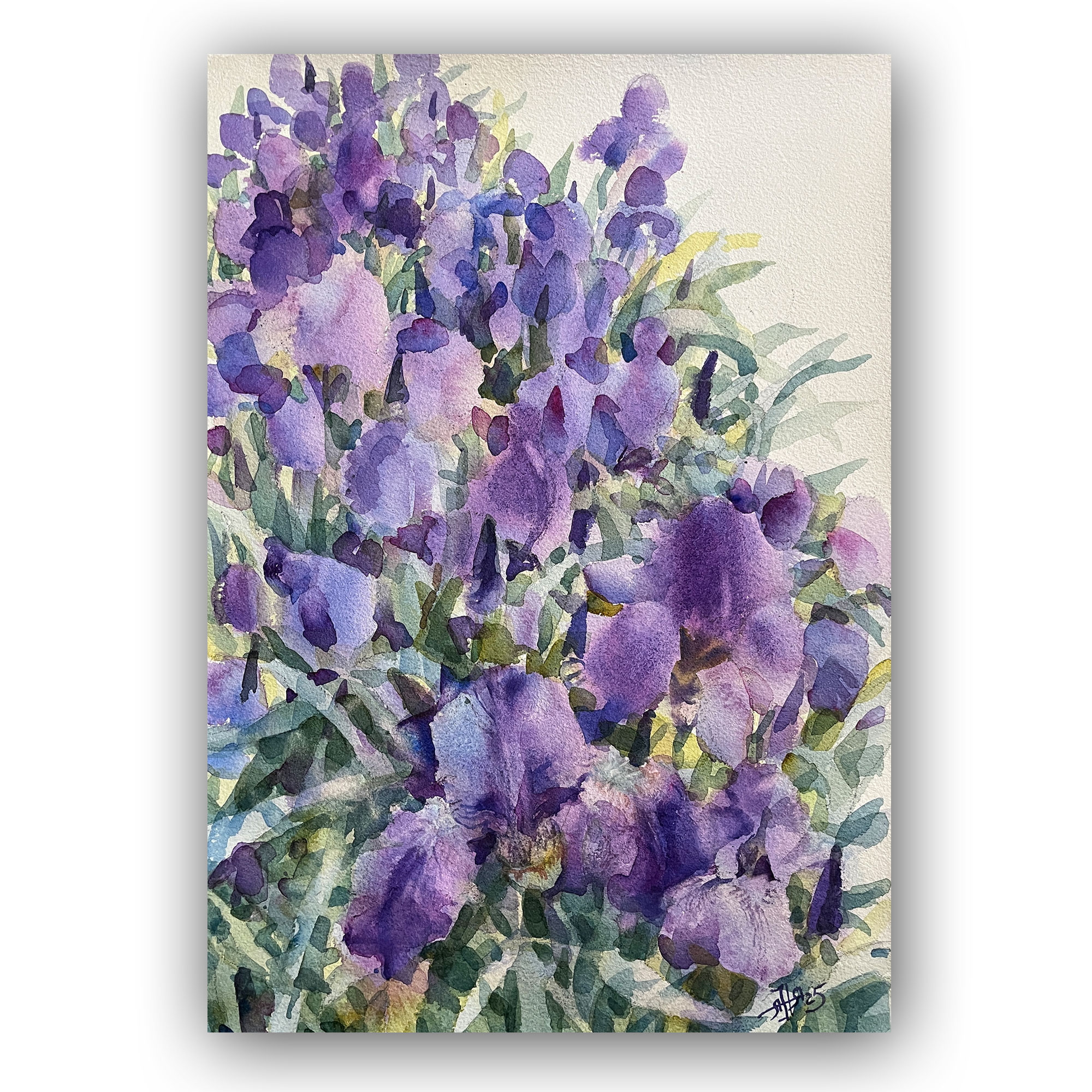 Картина "Фиолетовая волна ирисов"