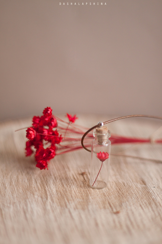 Подвеска-баночка Scarlet floret