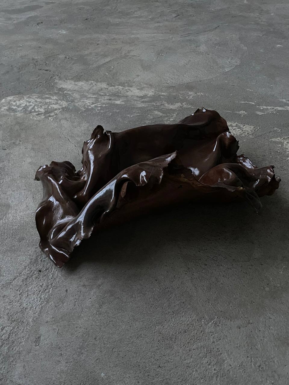 brown shell plate