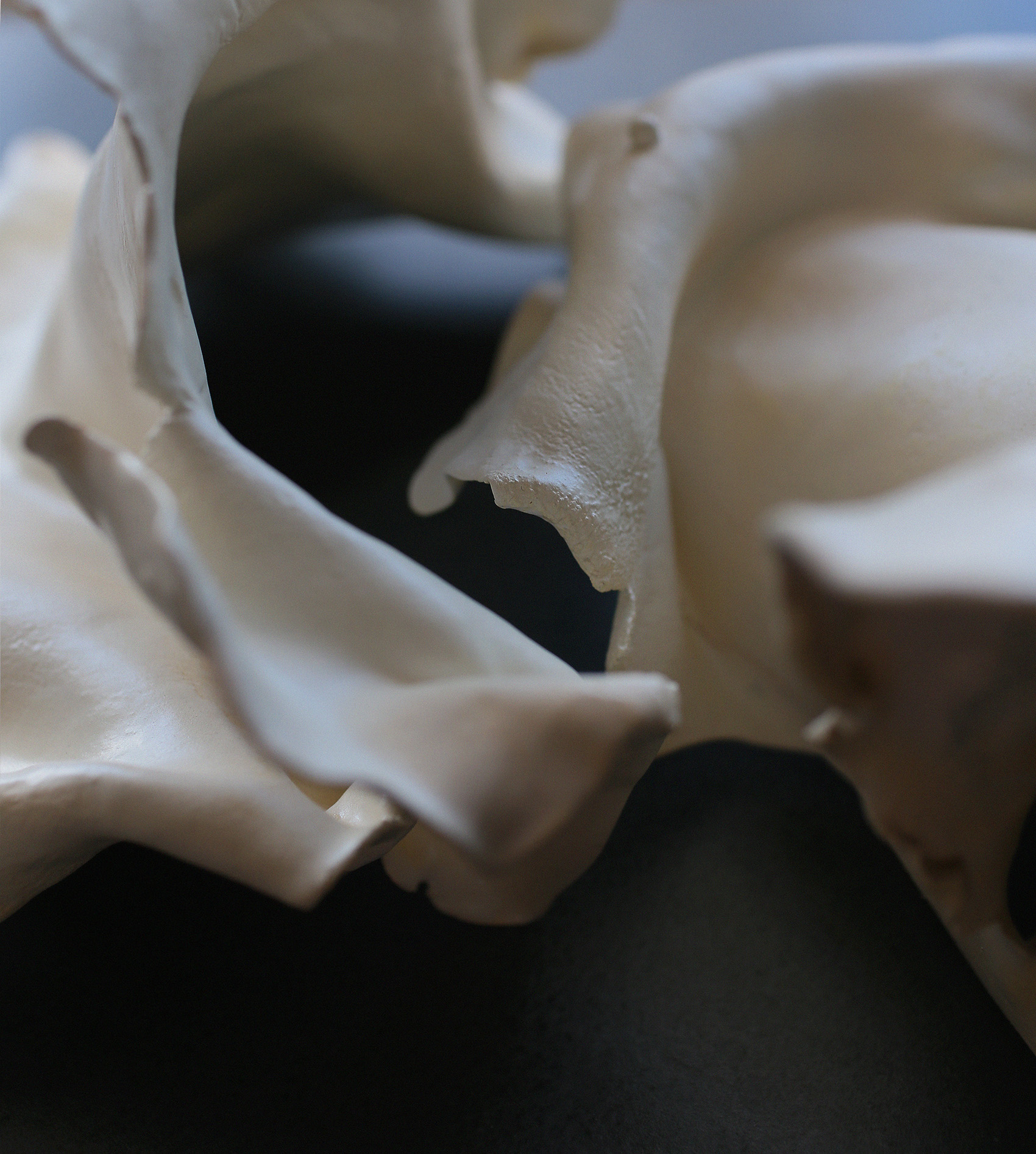 diptych#