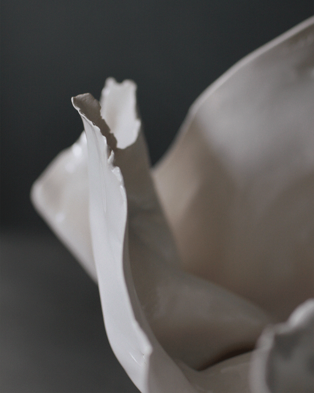 fin flower