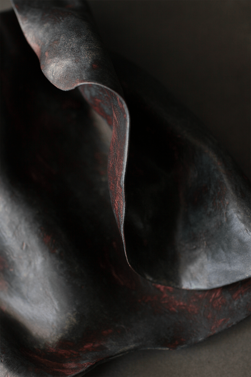 salamander#2