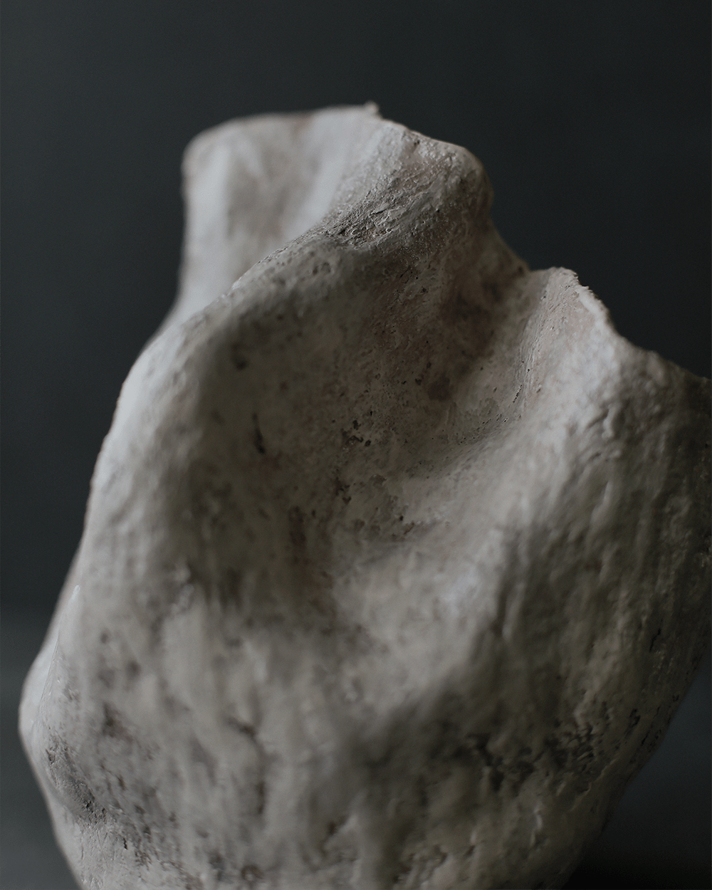 ancient bone