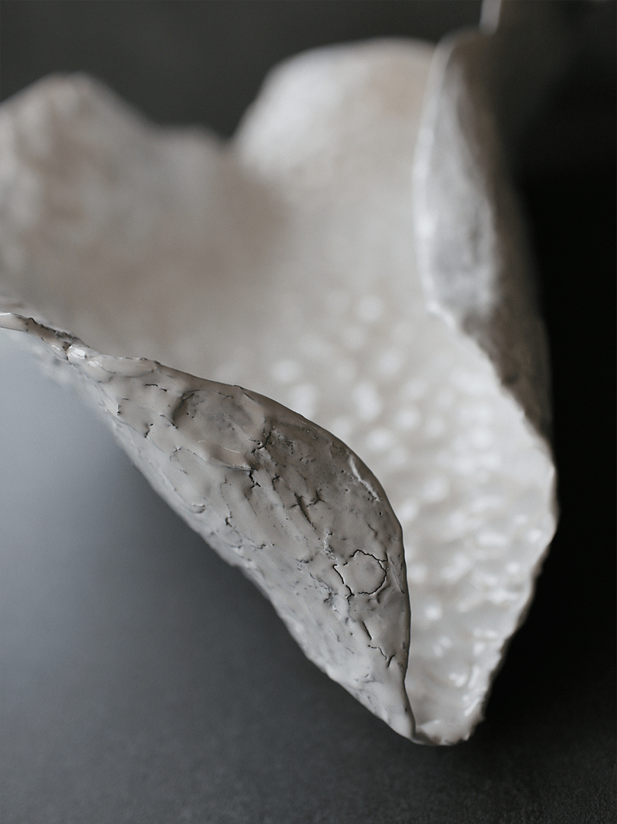 white plate