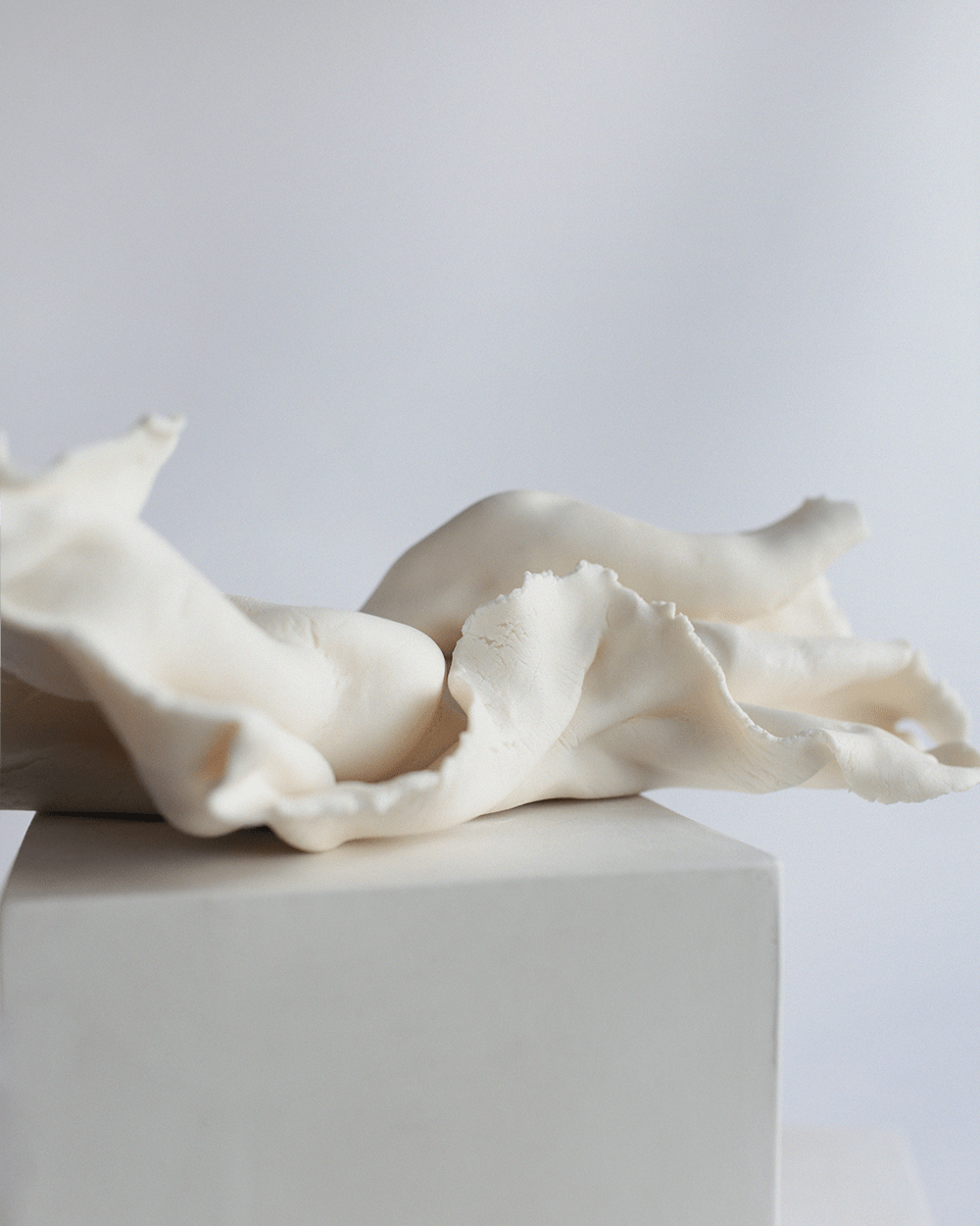 porcelain wall object