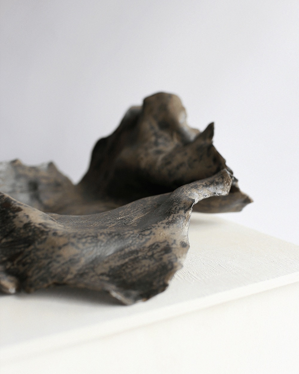 dry leaf