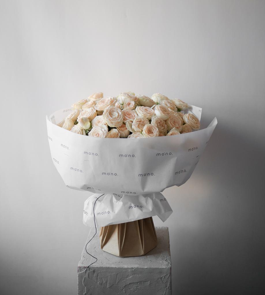 розы кустовые СОФИ | макси