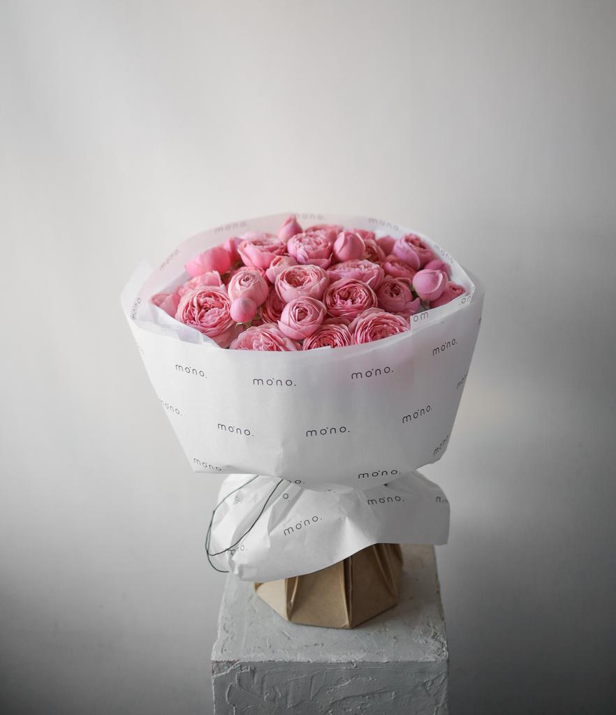 розы кустовые СИЛЬВА ПИНК | норм