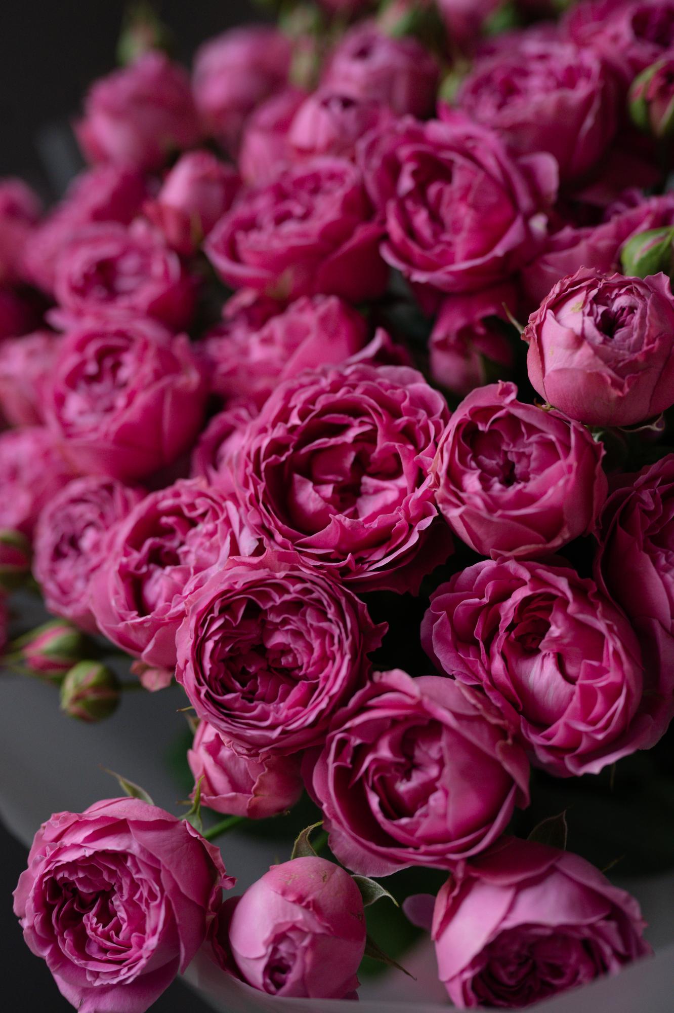 Моно-букет из роз Мисти Баблс