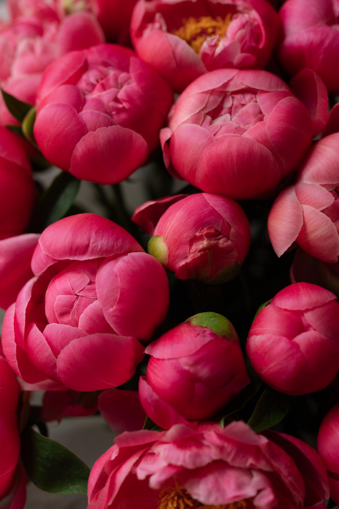 Букет из коралловых пионов