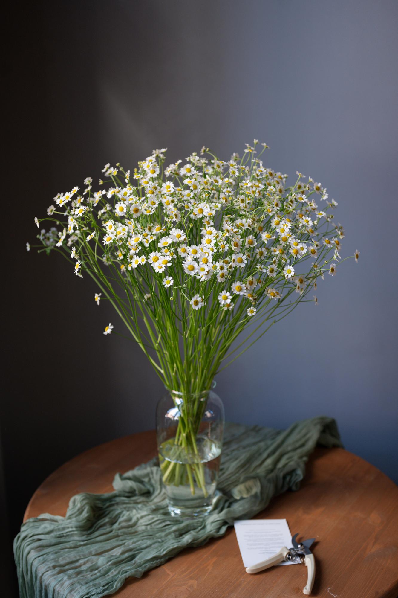 Подписка на моно-букеты