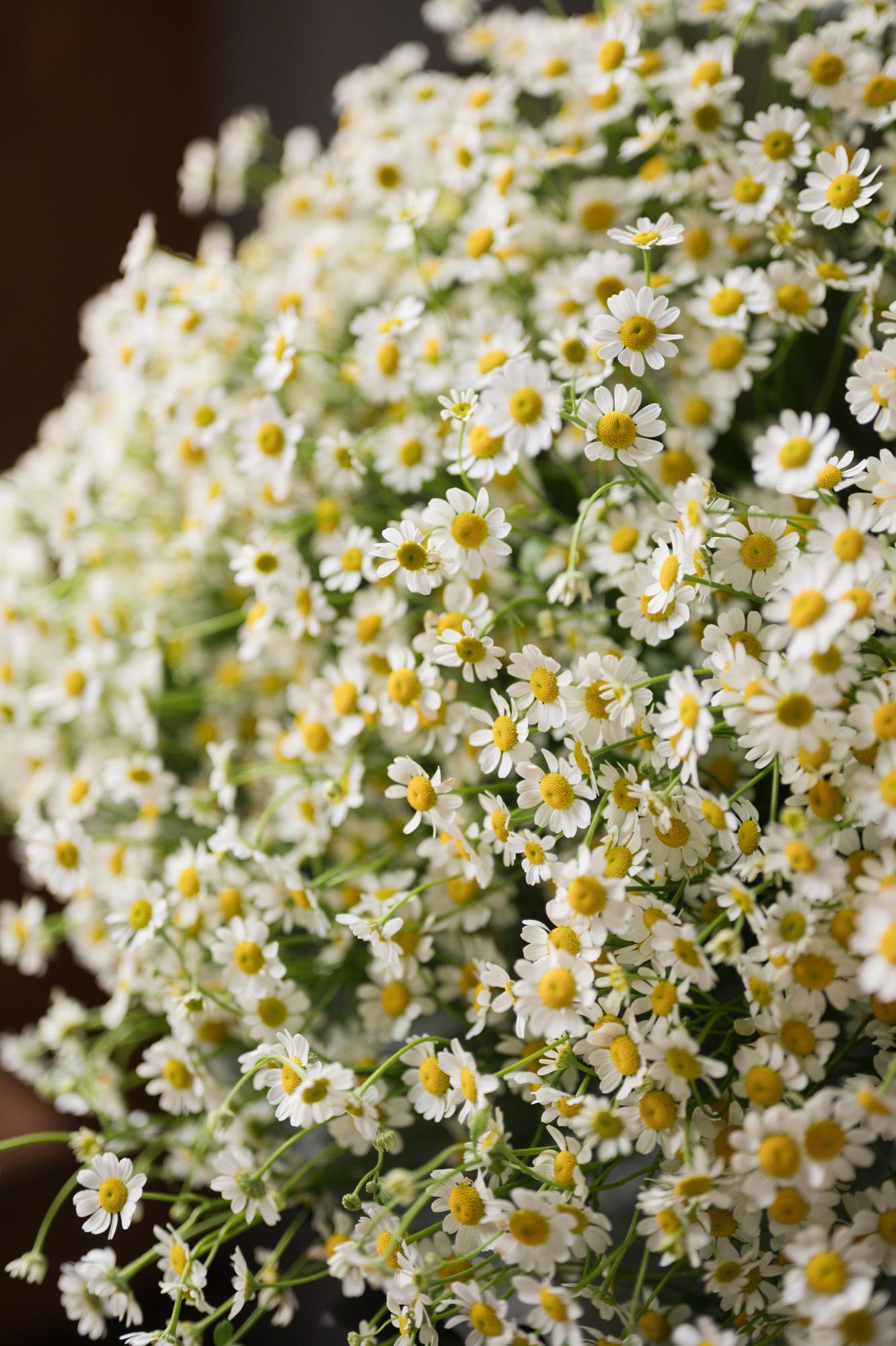 Букет с ромашками