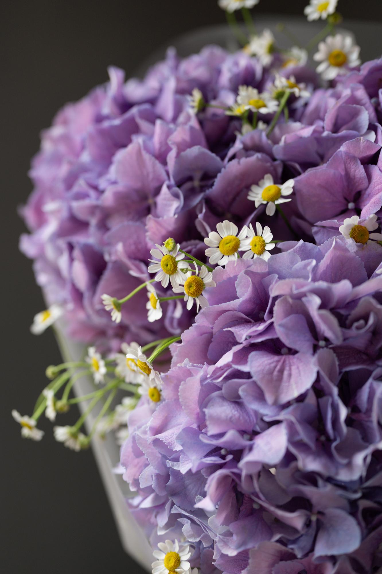 Дуо-букет из фиолетовой гортензии и ромашки