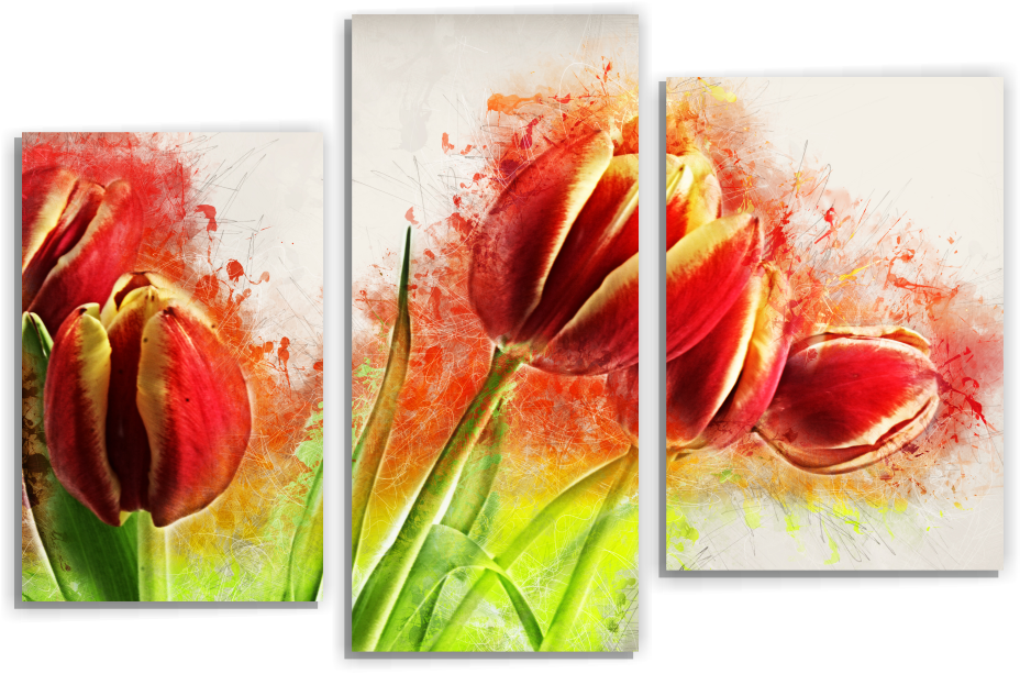 Тюльпаны М78