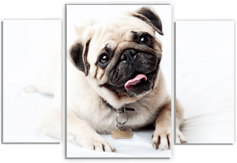 Собачка М186