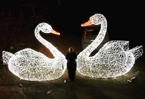 Световая композиция "Лебедь и лебедушка"