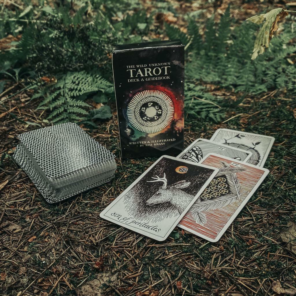 Таро Первозданного Мира (The Wild Unknown Tarot) + инструкция PDF на английском