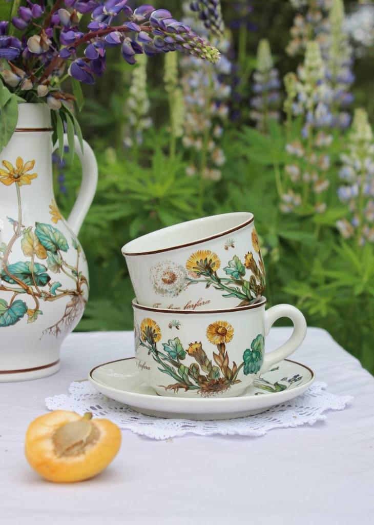 Чайные пары Villeroy&boch "Botanica" 200мл