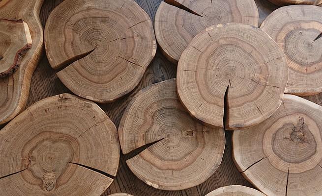 Спил дуба для подачи и сервировки 20см