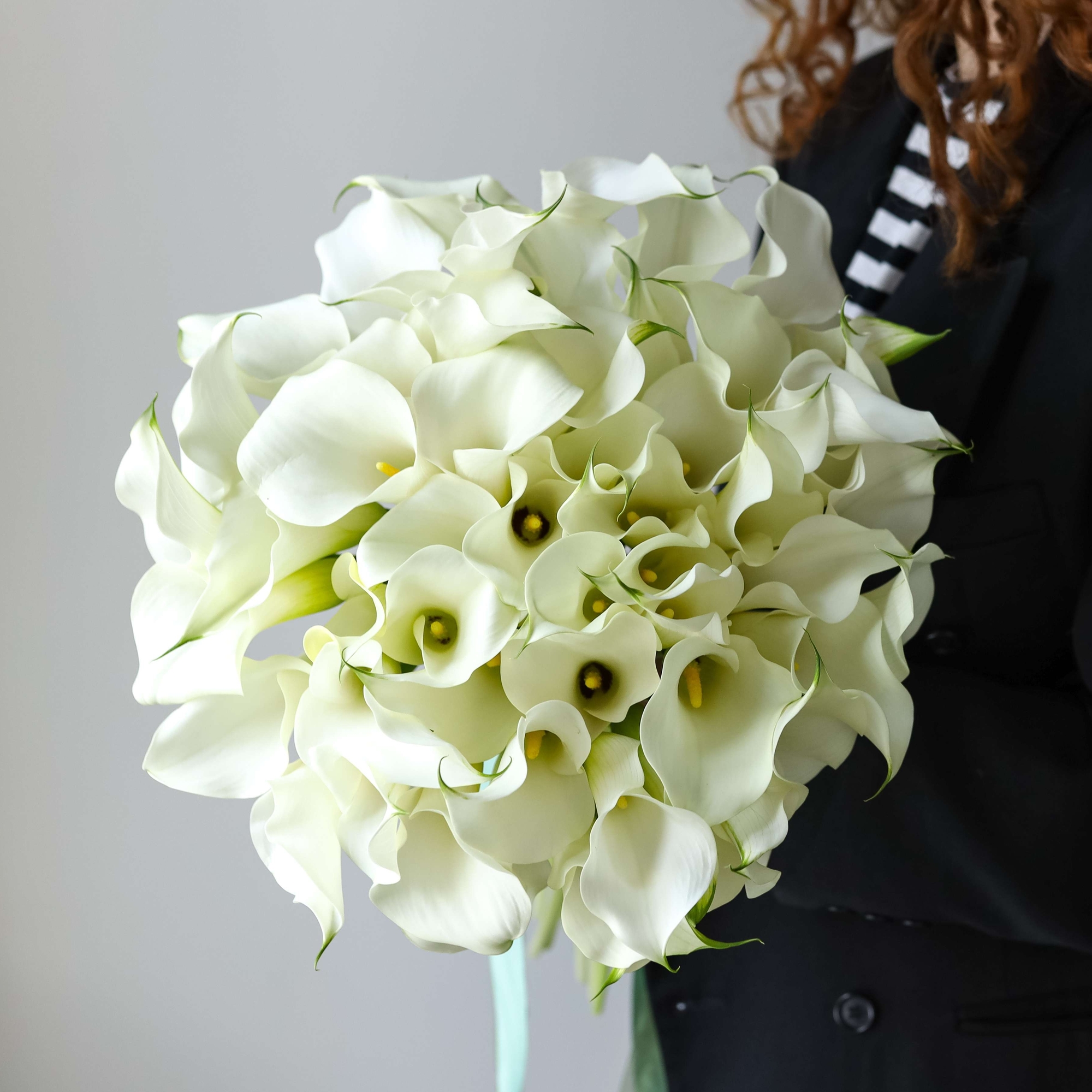 Каллы кремовые