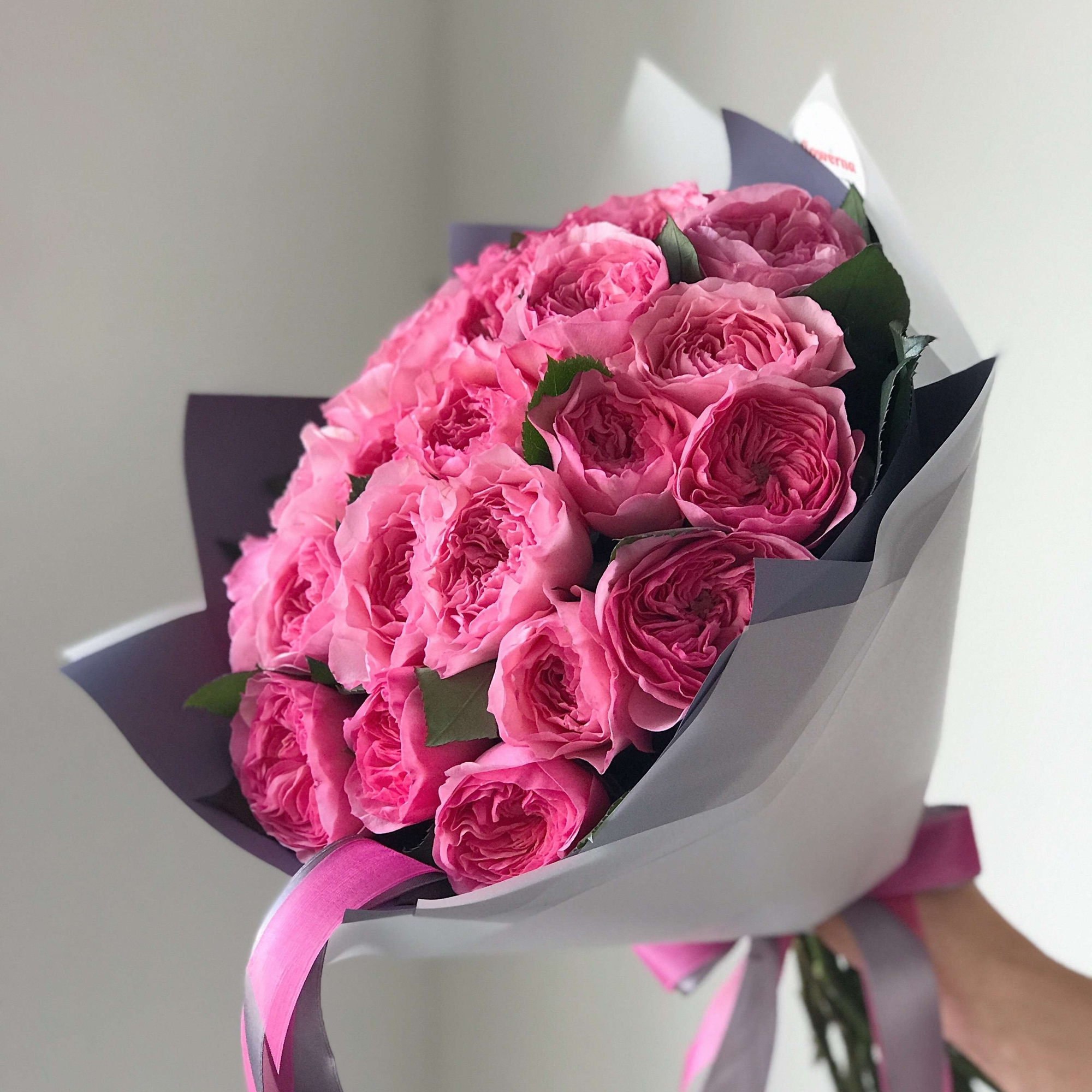 Розы "Мария Тереза"